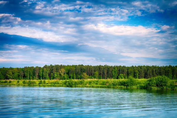 Hutan Picturesque dan sungai — Stok Foto