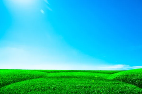 Rumput hijau di bawah langit biru — Stok Foto