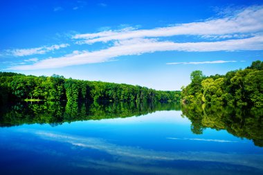 Resimli orman ve nehir.