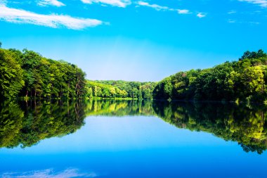 Resimli orman ve nehir.