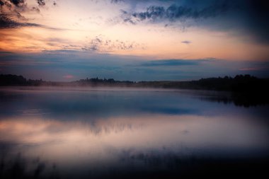 Resimli orman ve nehir.