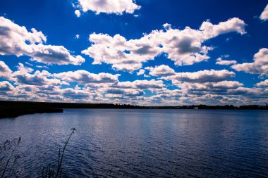 Resimli orman ve nehir.