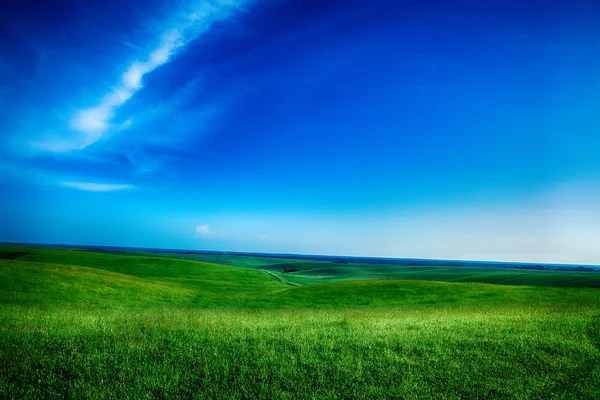 Splendido campo verde mattutino con cielo blu — Foto Stock