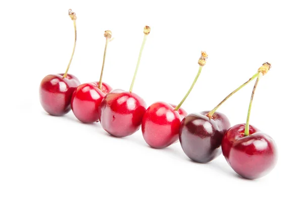 Cherry — Stock Photo, Image