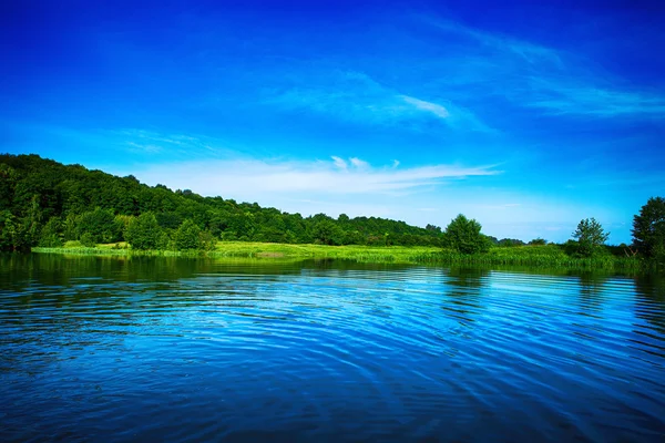 Forêt pittoresque et la rivière — Photo