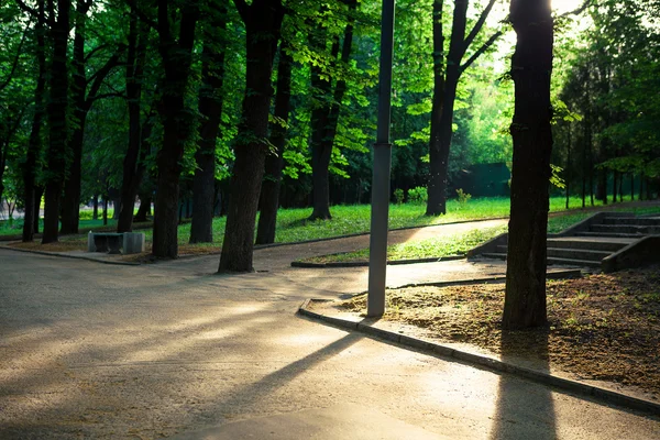 公園で美しい大通り — ストック写真