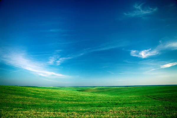 青い天と美しい朝の緑のフィールド — ストック写真