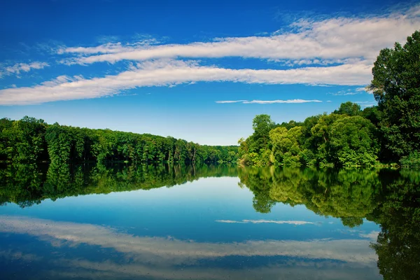 Forêt pittoresque et la rivière — Photo