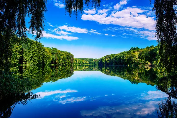 Forêt pittoresque et la rivière — Photo