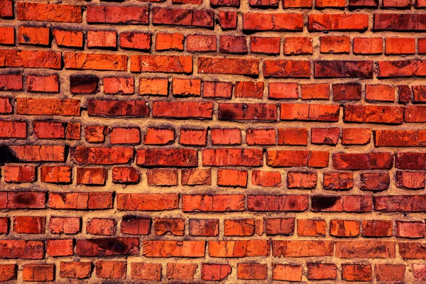 Old grunge brick wall background — Stock Photo, Image