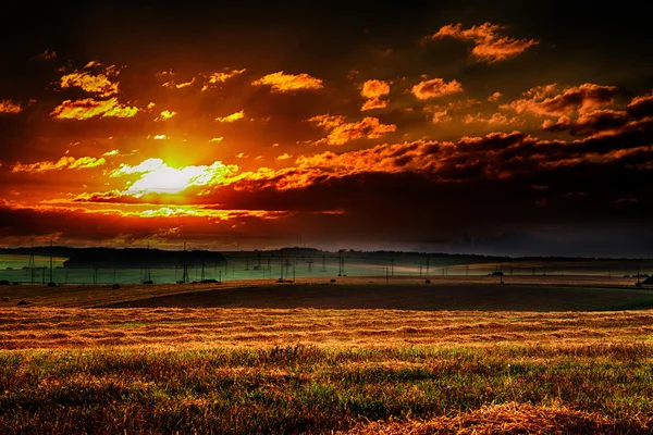 Beautiful spring field with the red sky — Stock Photo, Image
