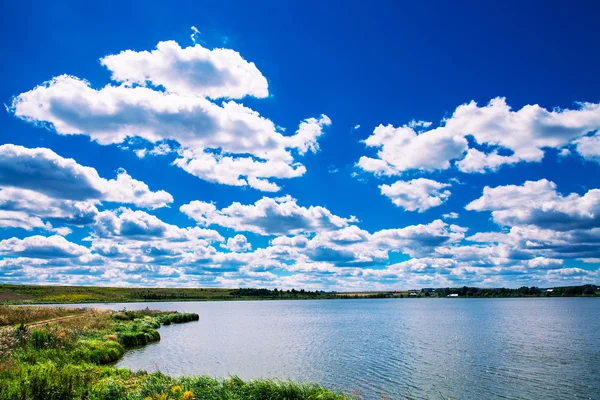 Picturesque forest and the river — Stock Photo, Image