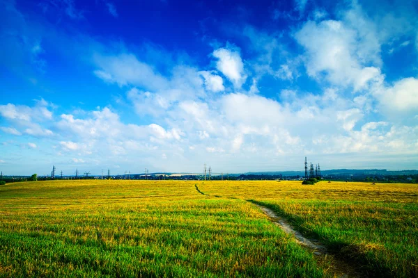 Beautiful spring field with the blue sky — Stock Photo, Image