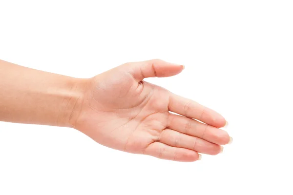 Hand isolated on a white background — Stock Photo, Image