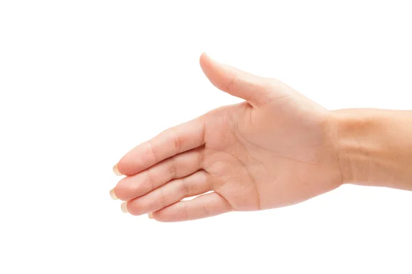 Hand isolated on a white background — Stock Photo, Image