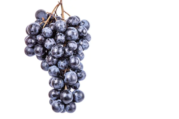 Grape on white background — Stock Photo, Image