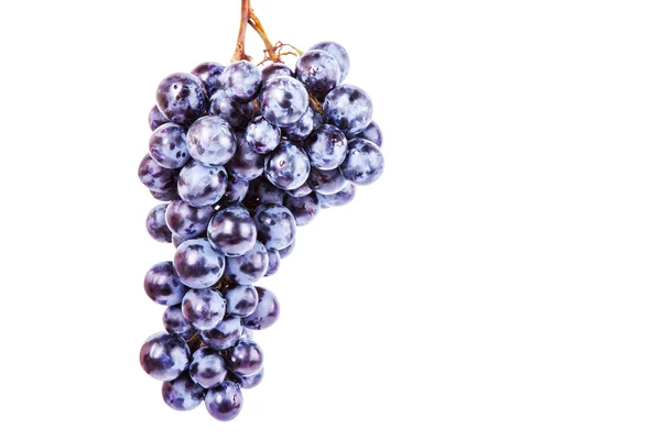 Grapes — Stock Photo, Image