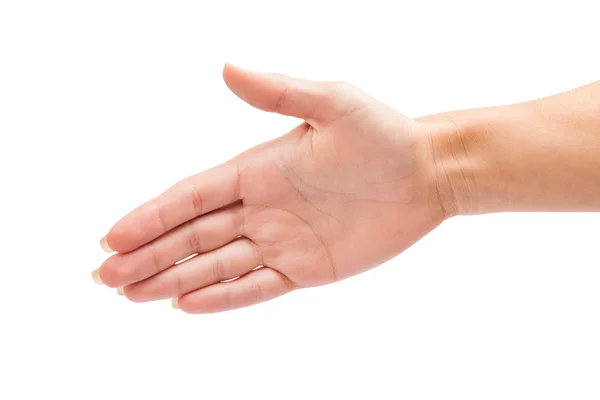 Hand isolated on a white background — Stock Photo, Image