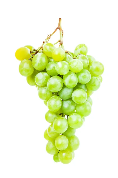 Grape isolated on a white background — Stock Photo, Image