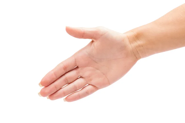 Hand isolated on a white background — Stock Photo, Image