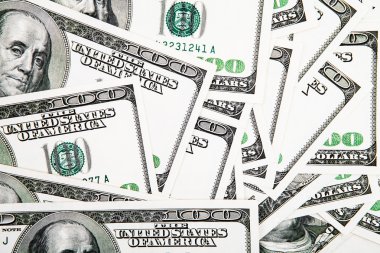 amerikan dolar