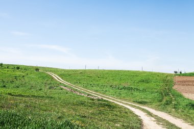 patika yeşil alanı