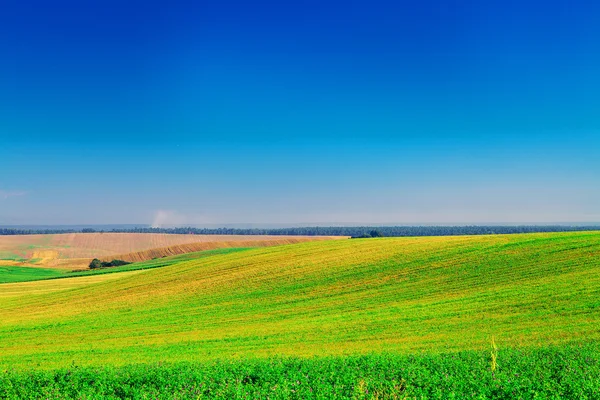 Spring Field over sky — Stock Photo, Image