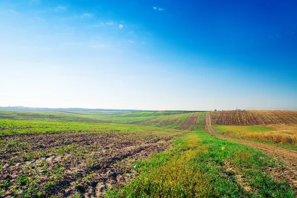 Bauernhof mit blauem Himmel — Stockfoto