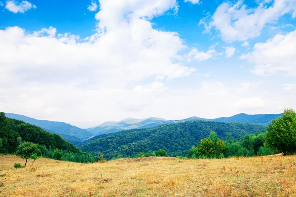 Groene zomer heuvels — Stockfoto