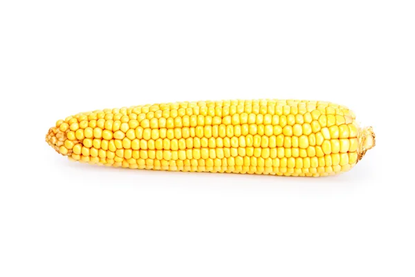 Egy sárga kukorica — Stock Fotó