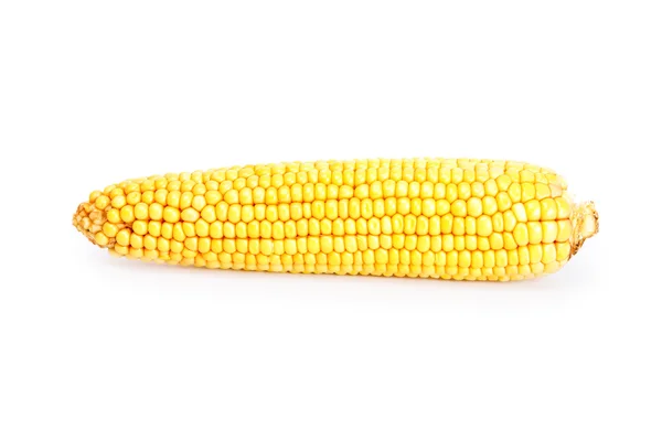 One yellow Corn — Stock Photo, Image