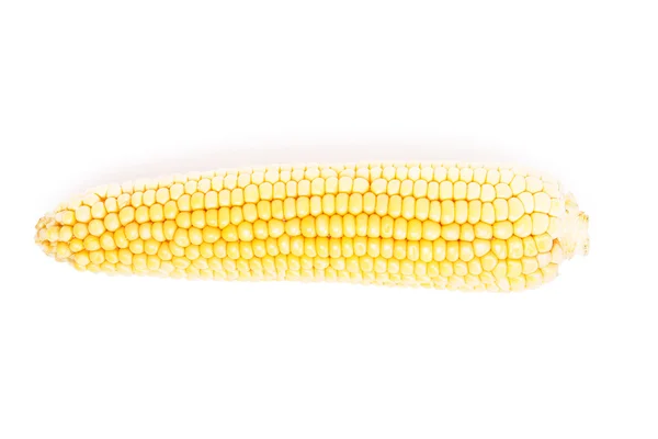 One yellow Corn — Stock Photo, Image