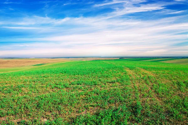 Lente boerderij met sky — Stockfoto
