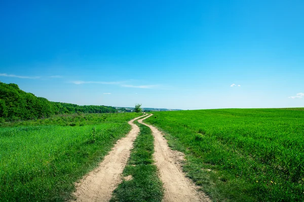 Pathway in field — Stock Photo, Image
