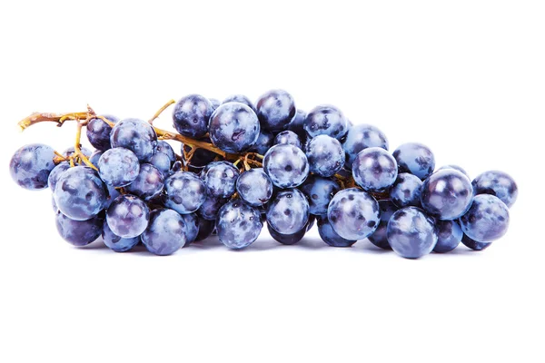 Blue Grape — Stock Photo, Image