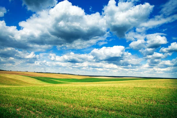Feld mit weißen Wolken — Stockfoto
