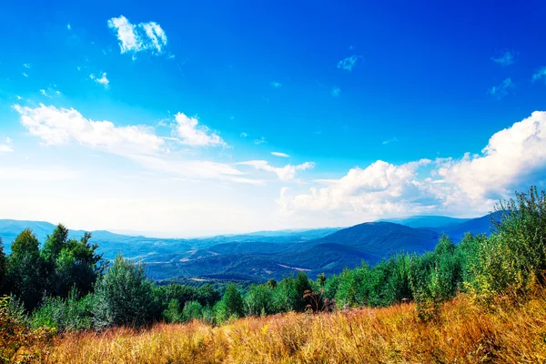 Tepeler ile sarı alan — Stok fotoğraf