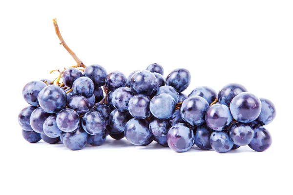 Blue Grape — Stock Photo, Image