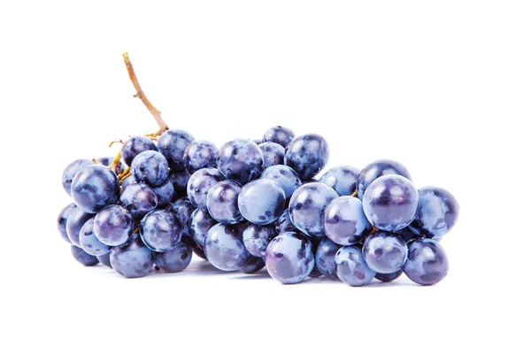 Blue Grape — Stock Photo, Image