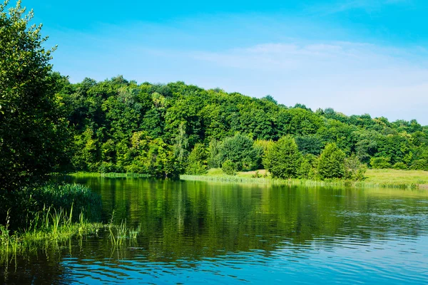 Lac d'été — Photo