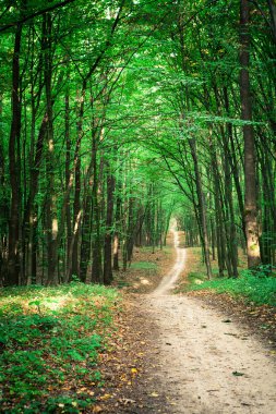 Yol.