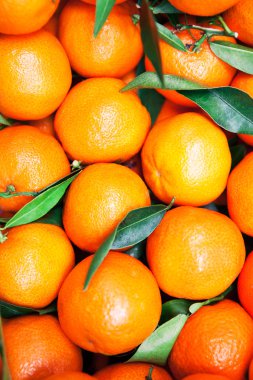 mandarins