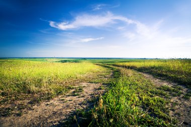 alan üzerinde mavi gökyüzü