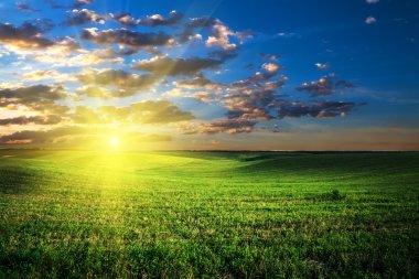 alan güneş ışığı ile