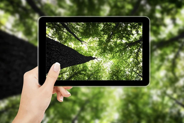 Tablet computer in hand — Stock Photo, Image