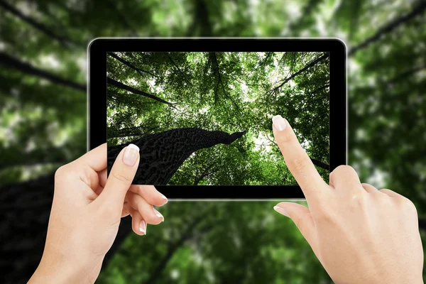 Tablet PC i händer — Stockfoto