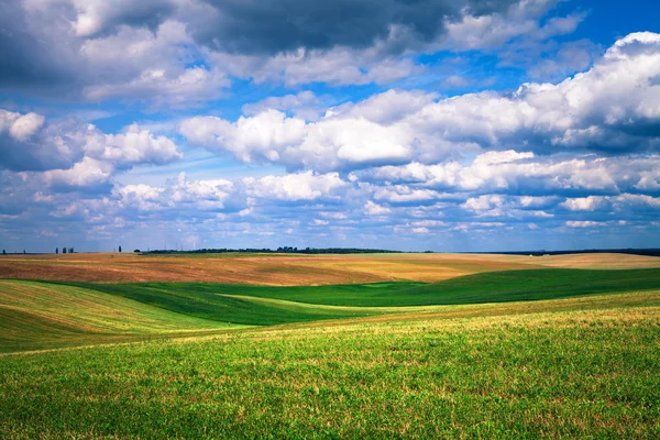 Field with clouds — Stock Photo, Image