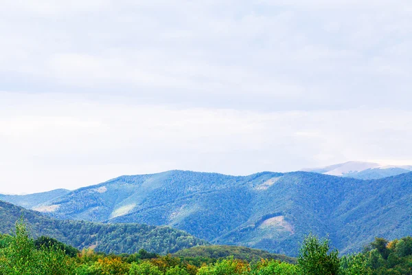 Colline verdi — Foto Stock