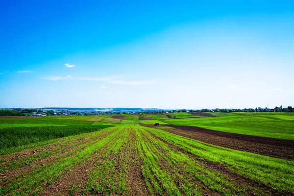 Bauernhof mit blauem Himmel — Stockfoto