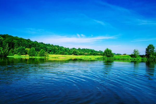 Bosque y río —  Fotos de Stock